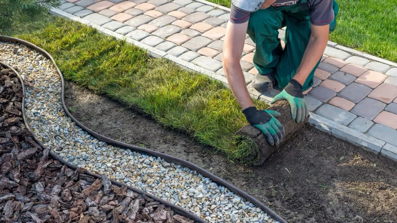 Välj växter som trivs i din trädgård